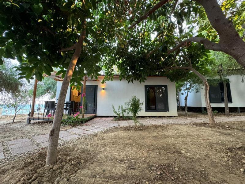 Otelox Ayas Beach Bungalov Erdemli Dış mekan fotoğraf